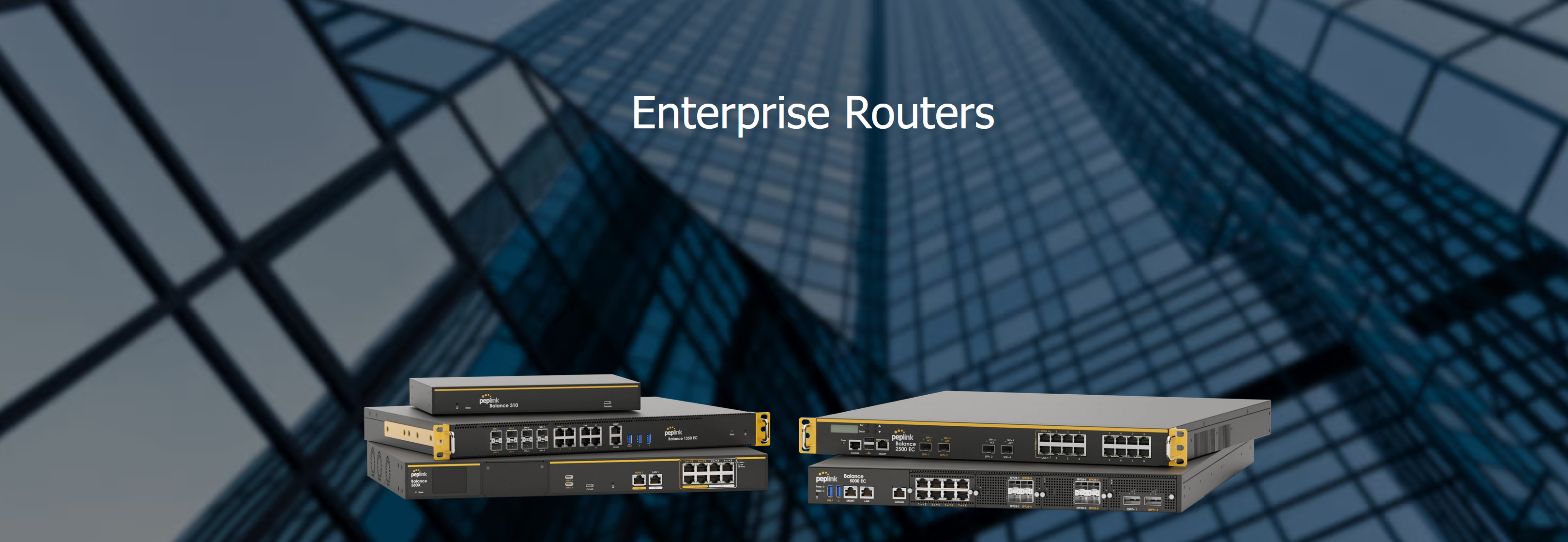 Peplink Router