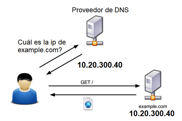 dns hosting